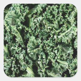 ケール スクエアシール