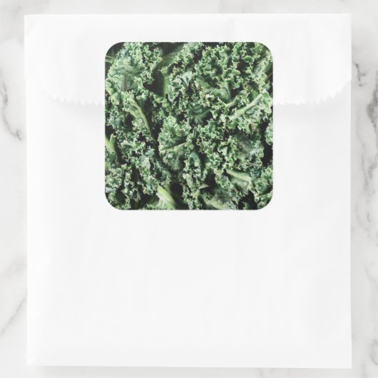 ケール スクエアシール (バッグ)