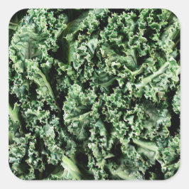 ケール スクエアシール