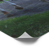 ケーンランドホースプリント ポスター (角)