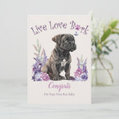 ケーン・コルソの犬の里親募集、ガッチャデイ カード (スタンド正面)