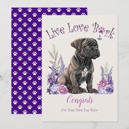 ケーン・コルソの犬の里親募集、ガッチャデイ カード (正面/裏面)