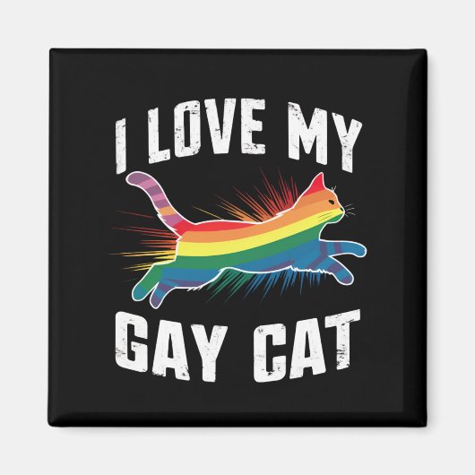 ゲイの猫が大好き ファニー レインボー プライド LGBT マグネット (正面)