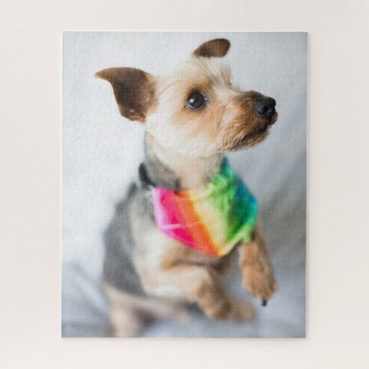 ゲイプライドレインボードッグ | Yorkshire Terrier ジグソーパズル (縦)