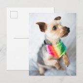 ゲイプライドレインボードッグ | Yorkshire Terrier ポストカード (正面/裏面)