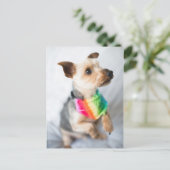 ゲイプライドレインボードッグ | Yorkshire Terrier ポストカード (スタンド正面)