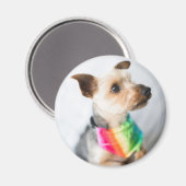 ゲイプライドレインボードッグ | Yorkshire Terrier マグネット (正面/裏面)
