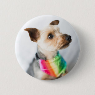 ゲイプライドレインボードッグ Yorkshire Terrier 缶バッジ