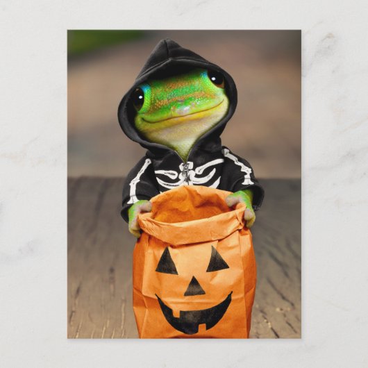 ゲコの骨格 インビテーションポストカード (正面)