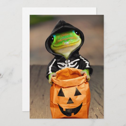 ゲコの骨格 招待状 (正面/裏面)