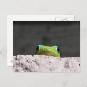 ゲコを見つけた ポストカード (正面/裏面)
