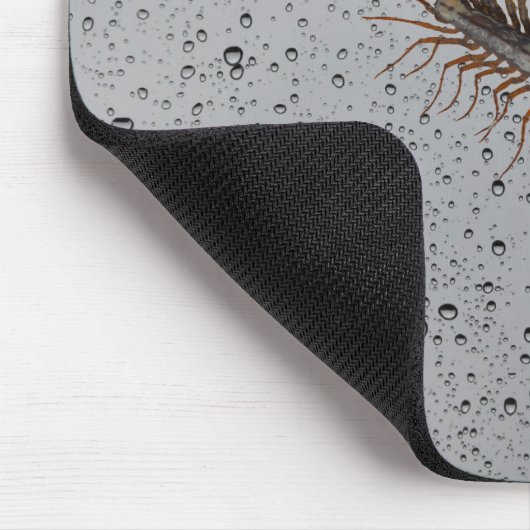 ゲジ マウスパッド (コーナー)