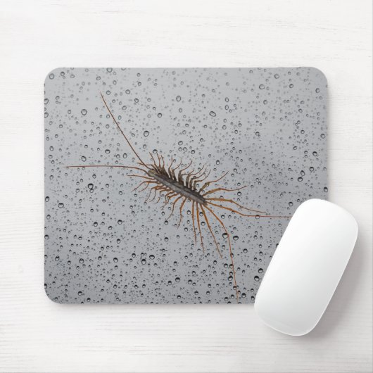 ゲジ マウスパッド (マウス)