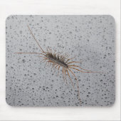 ゲジ マウスパッド (正面)