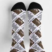 ゲスタートン保守派の進歩主義の誤り ソックス (上部)