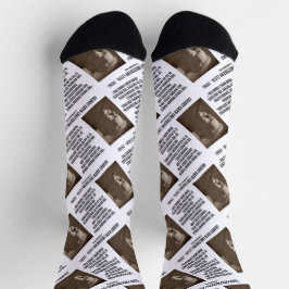 ゲスタートン保守派の進歩主義の誤り ソックス