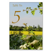 ゲストのリストが付いているHandfastingのテーブル開くよろしいですカード テーブルナンバー (正面)