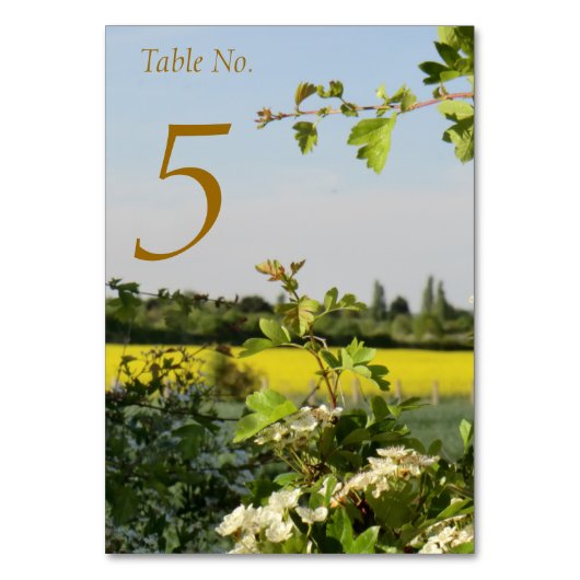 ゲストのリストが付いているHandfastingのテーブル開くよろしいですカード テーブルナンバー (正面)