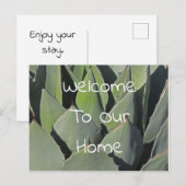 ゲストウェルカムグリーンアガベ葉の写真南西 ポストカード (正面/裏面)