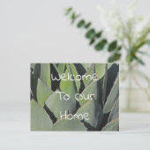 ゲストウェルカムグリーンアガベ葉の写真南西 ポストカード (スタンド正面)