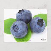 ゲストテーブル番号 ポストカード (裏面)