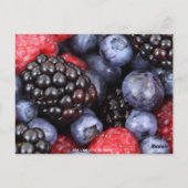 ゲストテーブル番号 ポストカード (裏面)