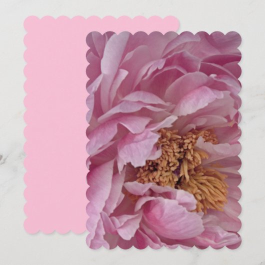 ゲストパーティーカスタムパーソナライズデスティニー デスティニーズ 招待状 (正面/裏面)