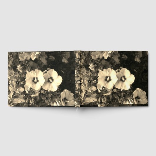 ゲストブック (全面)