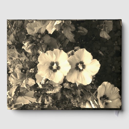 ゲストブック (裏面)