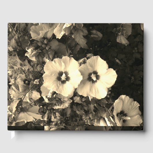 ゲストブック (正面)