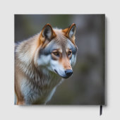 ゲストブック (裏面)