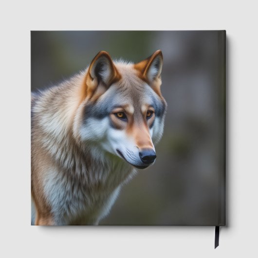 ゲストブック (裏面)