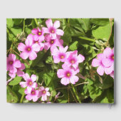 ゲストブック – ピンクの花のシャムロック (裏面)