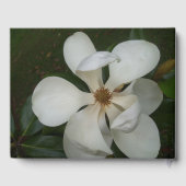 ゲストブック – Southern Magnolia I and II (裏面)