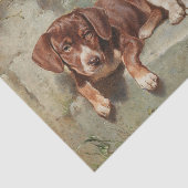 ゲストルテシエスタバイカールレイシェルト 薄葉紙 (詳細)