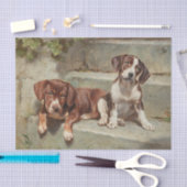 ゲストルテシエスタバイカールレイシェルト 薄葉紙 (クラフト)