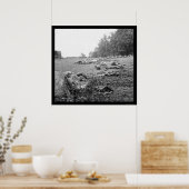 ゲチスバーグの戦いの犠牲者 ポスター (キッチン)