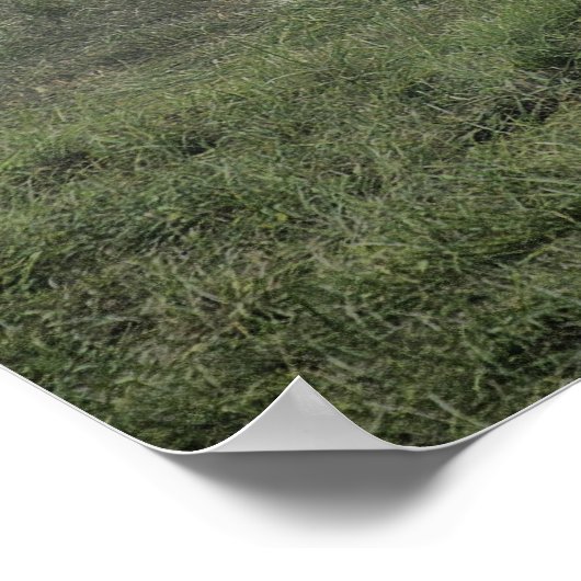 ゲチスバーグ ポスター (角)