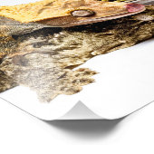 ゲッコス フォトプリント            (角)