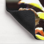 ゲッコトカゲとカメレオン マウスパッド (コーナー)