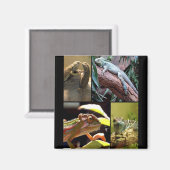 ゲッコトカゲとカメレオン マグネット (正面/裏面)