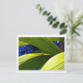 ゲッコトカゲの熱帯クリスマス シーズンポストカード (スタンド正面)