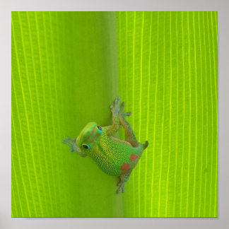 ゲッコプリント ポスター