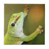 ゲッコ顔 タイル (正面)