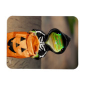 ゲッコ骨格 マグネット (横)