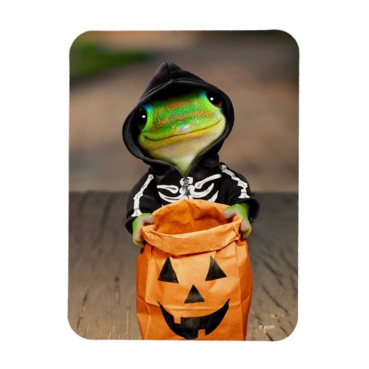 ゲッコ骨格 マグネット (縦)