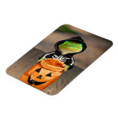 ゲッコ骨格 マグネット (左側)