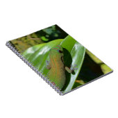 ゲッコ ノートブック (右側)