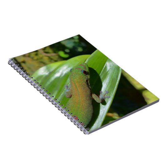 ゲッコ ノートブック (右側)