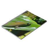 ゲッコ ノートブック (左側)